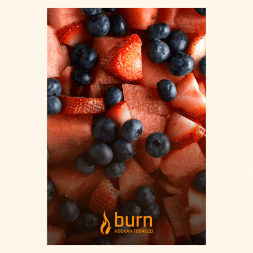Табак Burn - Berried Treasure (Ягодный Микс, 100 грамм)