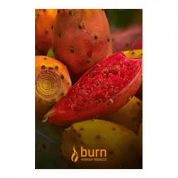 Табак Burn - Cactus (Кактус, 100 грамм)
