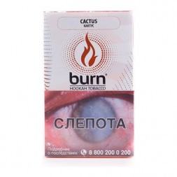 Табак Burn - Cactus (Кактус, 100 грамм)