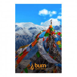 Табак Burn - Tibet (Индийские Специи, 100 грамм)