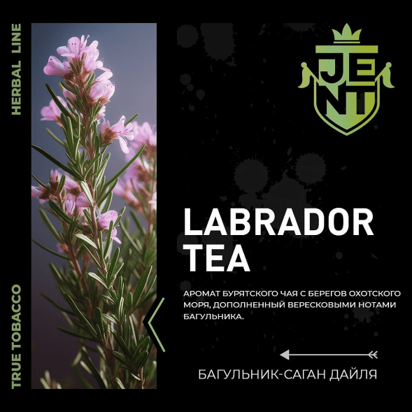 Табак Jent - Labrador Tea (Багульник и Саган Дайля, 100 грамм) купить в Новосибирске