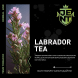 Табак Jent - Labrador Tea (Багульник и Саган Дайля, 100 грамм) купить в Новосибирске
