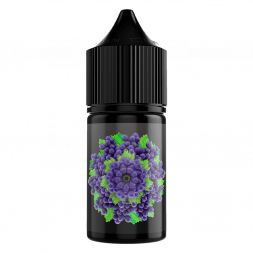 Жидкость SOAK L30 - Isabella Grapes (Виноград Изабелла, 30 мл, 2 мг)