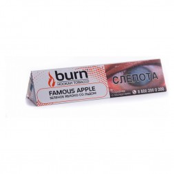 Табак Burn - Famous Apple (Зеленое Яблоко со Льдом, 25 грамм)