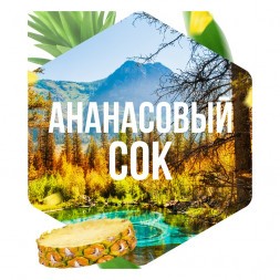 Табак Сарма - Ананасовый Сок (200 грамм)