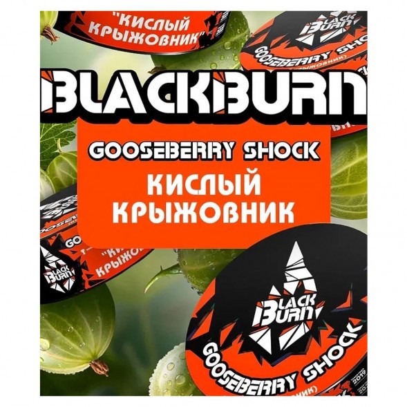 Табак BlackBurn - Gooseberry Shock (Кислый Крыжовник, 25 грамм) купить в Новосибирске