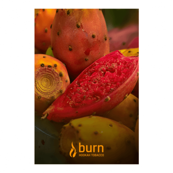 Табак Burn - Strawberry Jam (Клубничное Варенье, 25 грамм) купить в Новосибирске