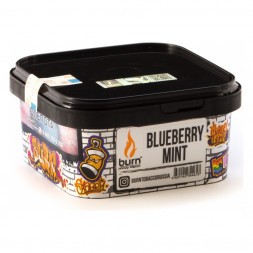 Табак Burn - Blueberry Mint (Черника с Мятой, 200 грамм)